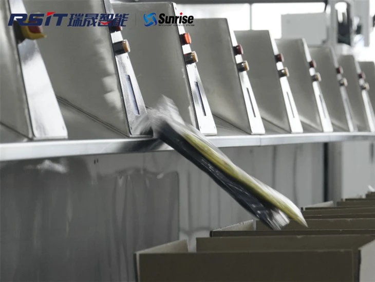 Intelligent Flat Sorting System high quality